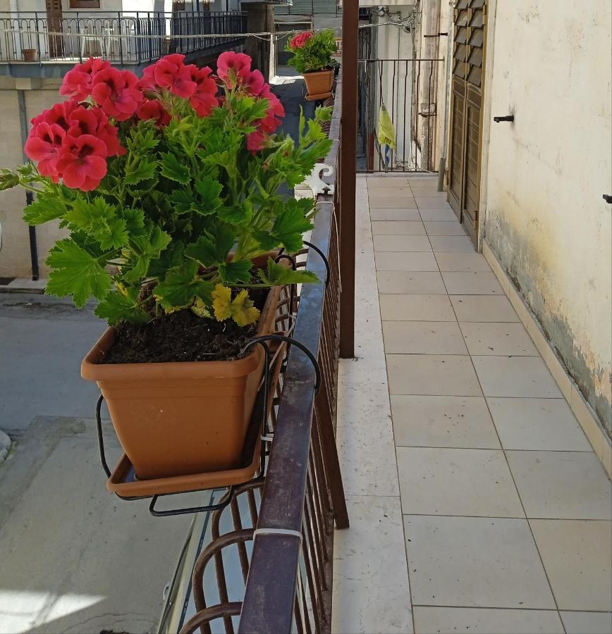גרבינה אין פוליה B&B La Casa Dell'Ospite מראה חיצוני תמונה